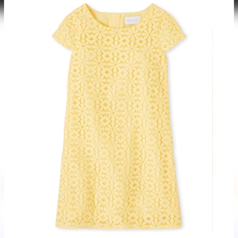 Place Lace Overlay Dress